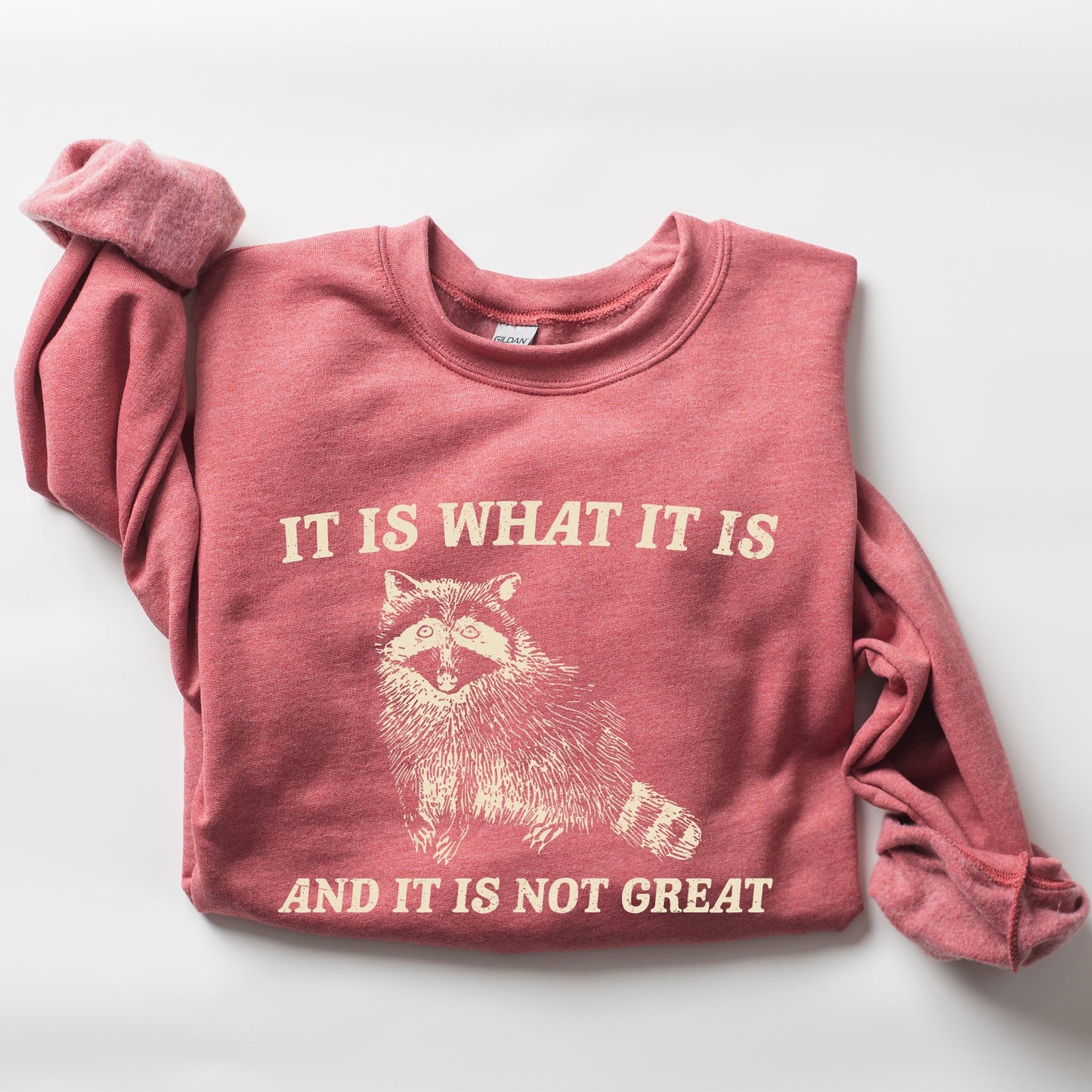 It Is What It Is And It Is Not Great, Raccoon, Funny, Aesthetic Sweatshirt