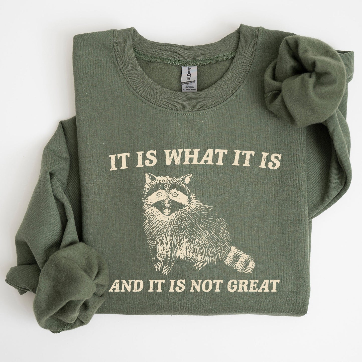 It Is What It Is And It Is Not Great, Raccoon, Funny, Aesthetic Sweatshirt