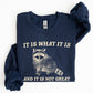 It Is What It Is And It Is Not Great, Raccoon, Funny, Aesthetic Sweatshirt