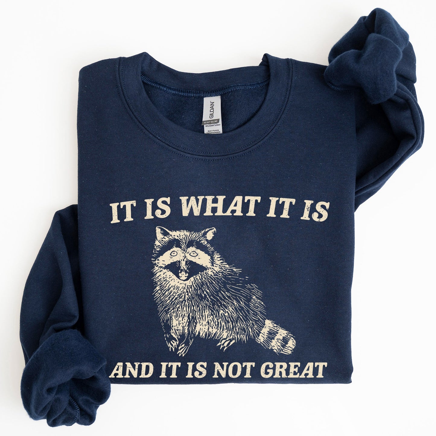 It Is What It Is And It Is Not Great, Raccoon, Funny, Aesthetic Sweatshirt
