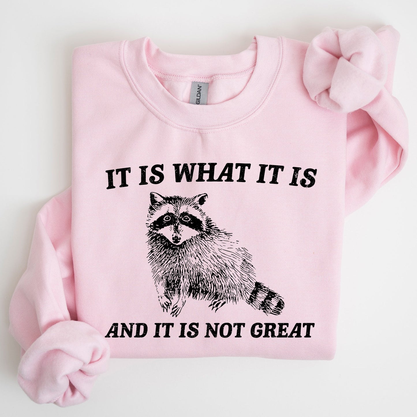 It Is What It Is And It Is Not Great, Raccoon, Funny, Aesthetic Sweatshirt