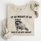 It Is What It Is And It Is Not Great, Raccoon, Funny, Aesthetic Sweatshirt
