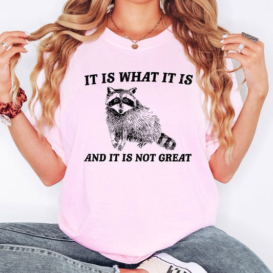 It Is What It Is And It Is Not Great, Raccoon, Meme, Aesthetic, Funny, Comfort Colors Tshirt