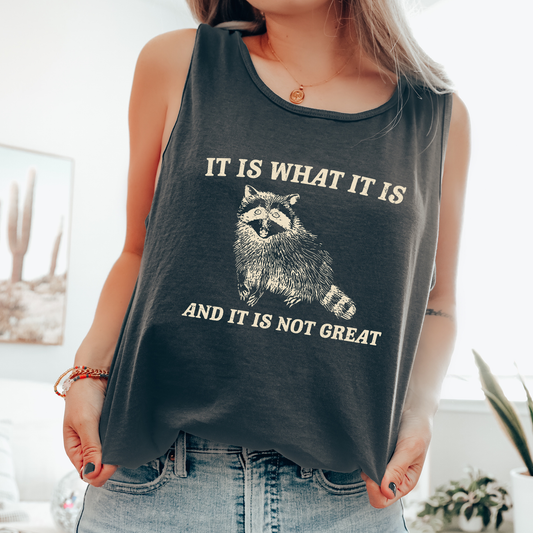 It Is What It Is And It Is Not Great, Raccoon, Sassy, Sarcastic, Minimalist, Funny Comfort Colors Tank Top