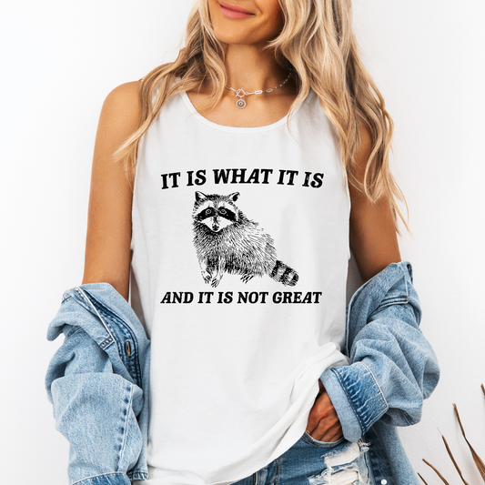 It Is What It Is And It Is Not Great, Raccoon, Sassy, Sarcastic, Minimalist, Funny Comfort Colors Tank Top