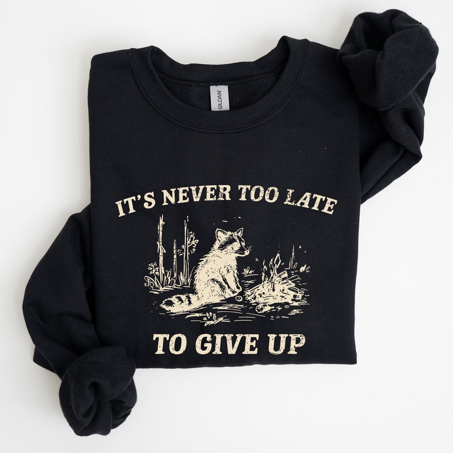 It's Never Too Late To Give Up, Raccoon, Meme, Aesthetic, Funny Sweatshirt