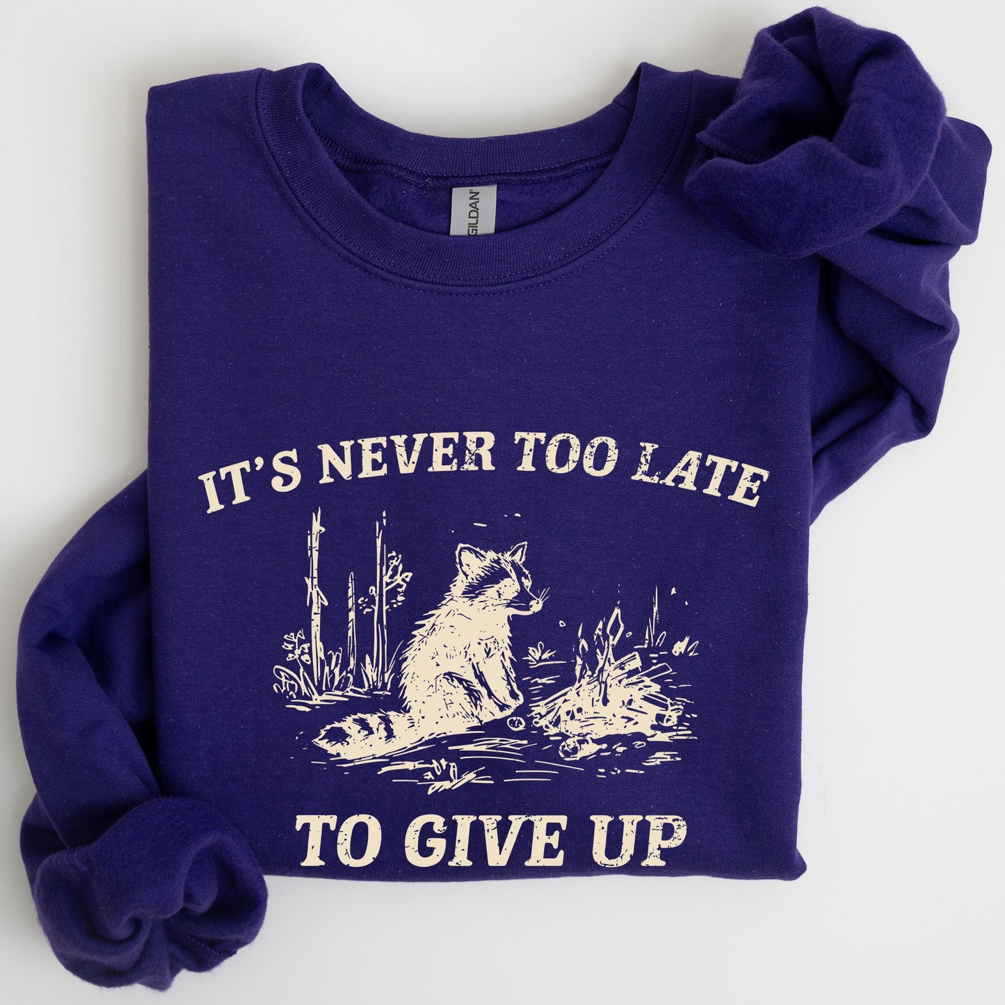 It's Never Too Late To Give Up, Raccoon, Meme, Aesthetic, Funny Sweatshirt