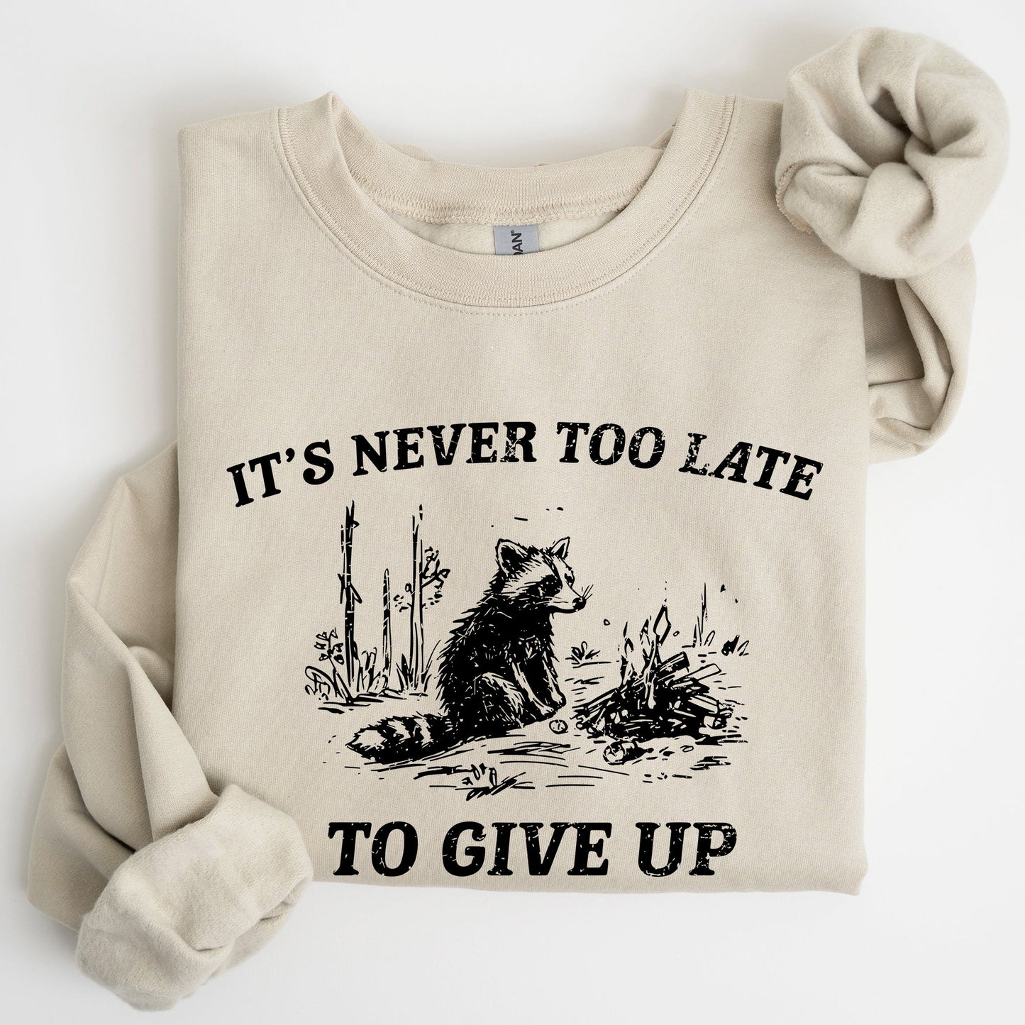 It's Never Too Late To Give Up, Raccoon, Meme, Aesthetic, Funny Sweatshirt