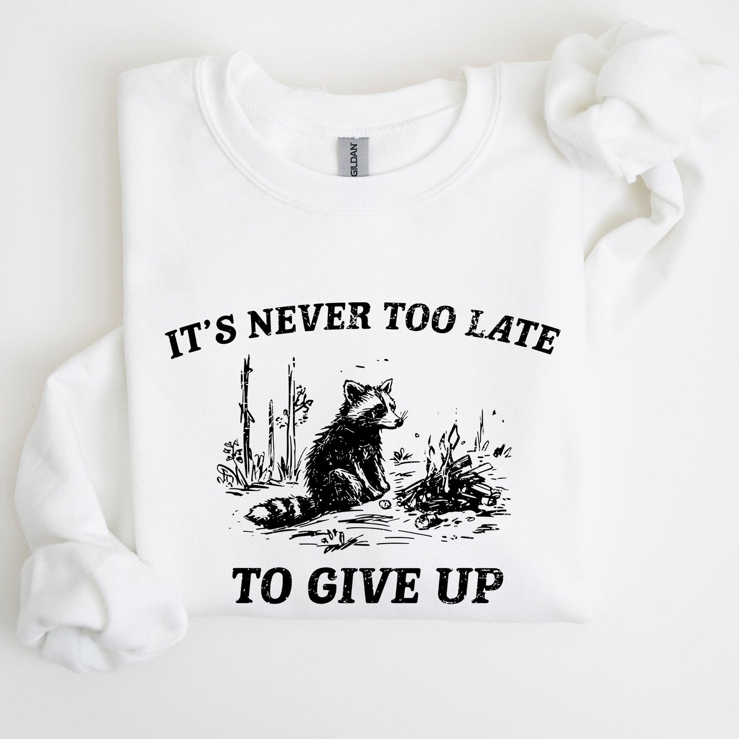 It's Never Too Late To Give Up, Raccoon, Meme, Aesthetic, Funny Sweatshirt