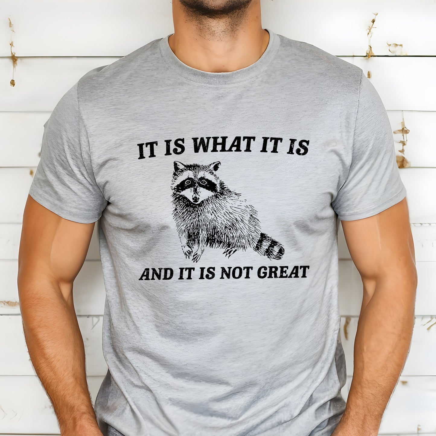 It Is What It Is And It's Not Great, Raccoon, Funny, Aesthetic, Meme Soft T-Shirt Comfort Colors T-Shirt