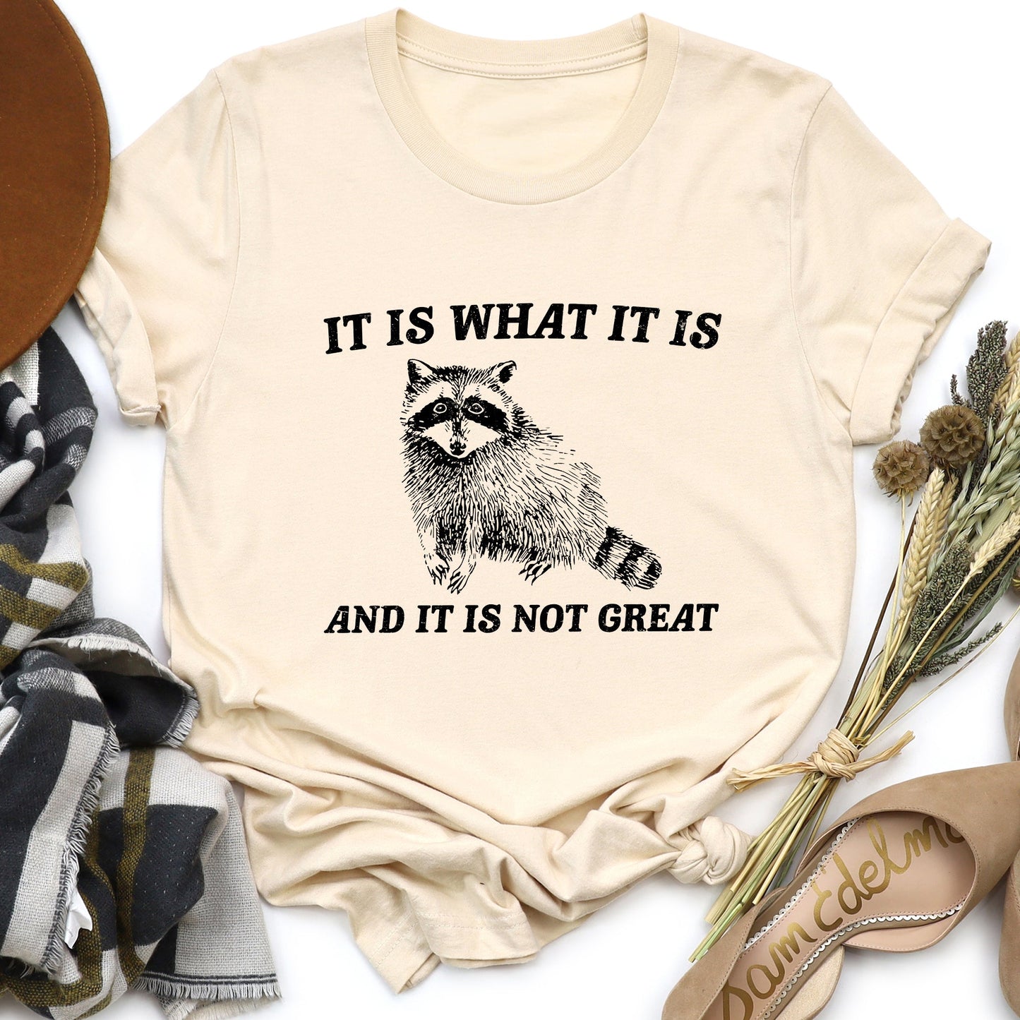 It Is What It Is And It's Not Great, Raccoon, Funny, Aesthetic, Meme Soft T-Shirt Comfort Colors T-Shirt