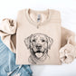 Labrador Retriever, Pet, Dog Breed Sweatshirt