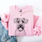 Wheaten Terrier, Pet, Dog Breed Sweatshirt