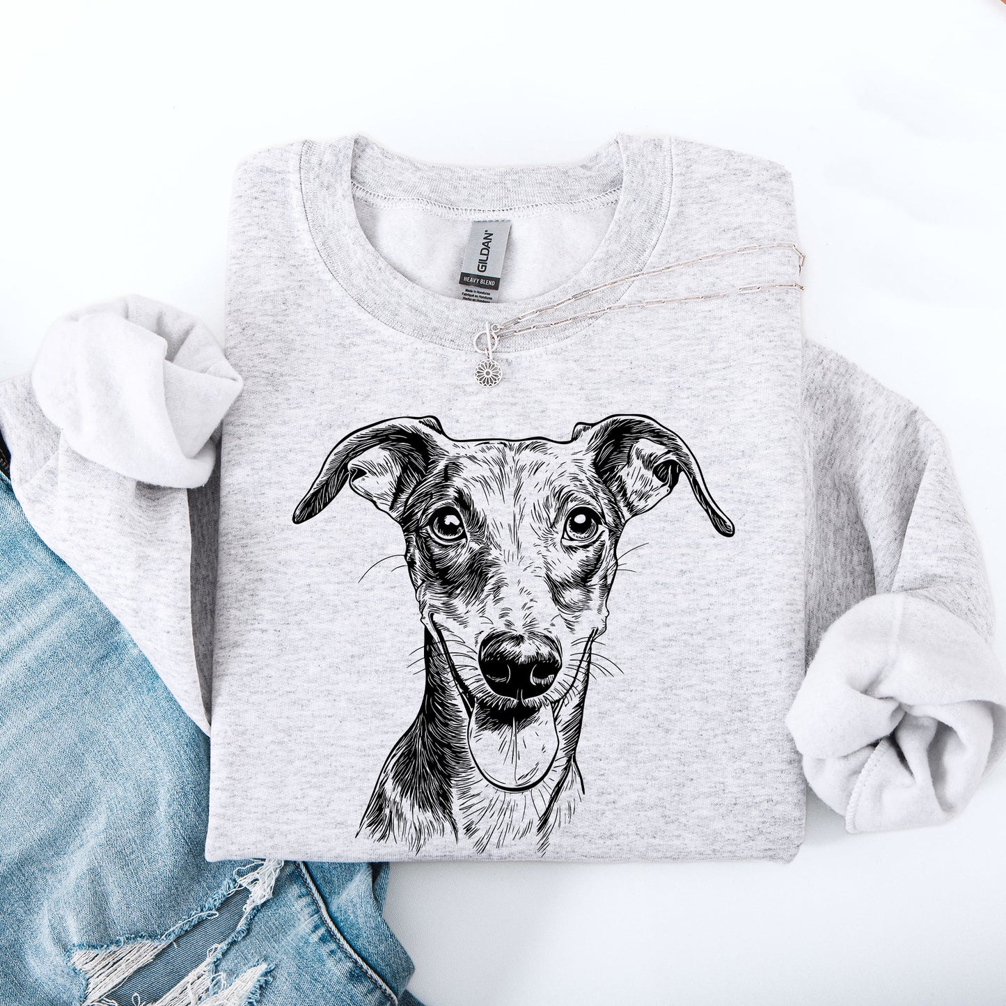 Whippet, Pet, Dog Breed Sweatshirt