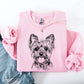 Yorkie, Yorkshire Terrier, Pet, Dog Breed Sweatshirt