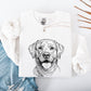 Labrador Retriever, Dog Lover Apparel, Pet, Dog Breed, Cute Sweatshirt