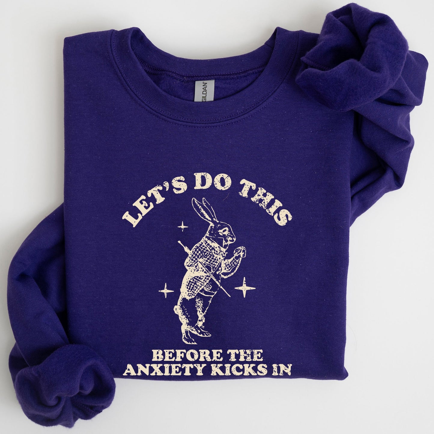 Let's Do this Before Anxiety Kicks In, Rabbit, Alice Wonderland, Meme, Aesthetic, Funny Sweatshirt