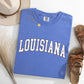 Louisiana, Football, Sports, Game Day, Big Game, Touchdown, Tailgate Party, University, College, State Tshirt Comfort Colors T-Shirt
