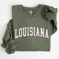 Louisiana, Football, Sports, Game Day, Big Game, Touchdown, Tailgate Party, University, College, State Sweatshirt