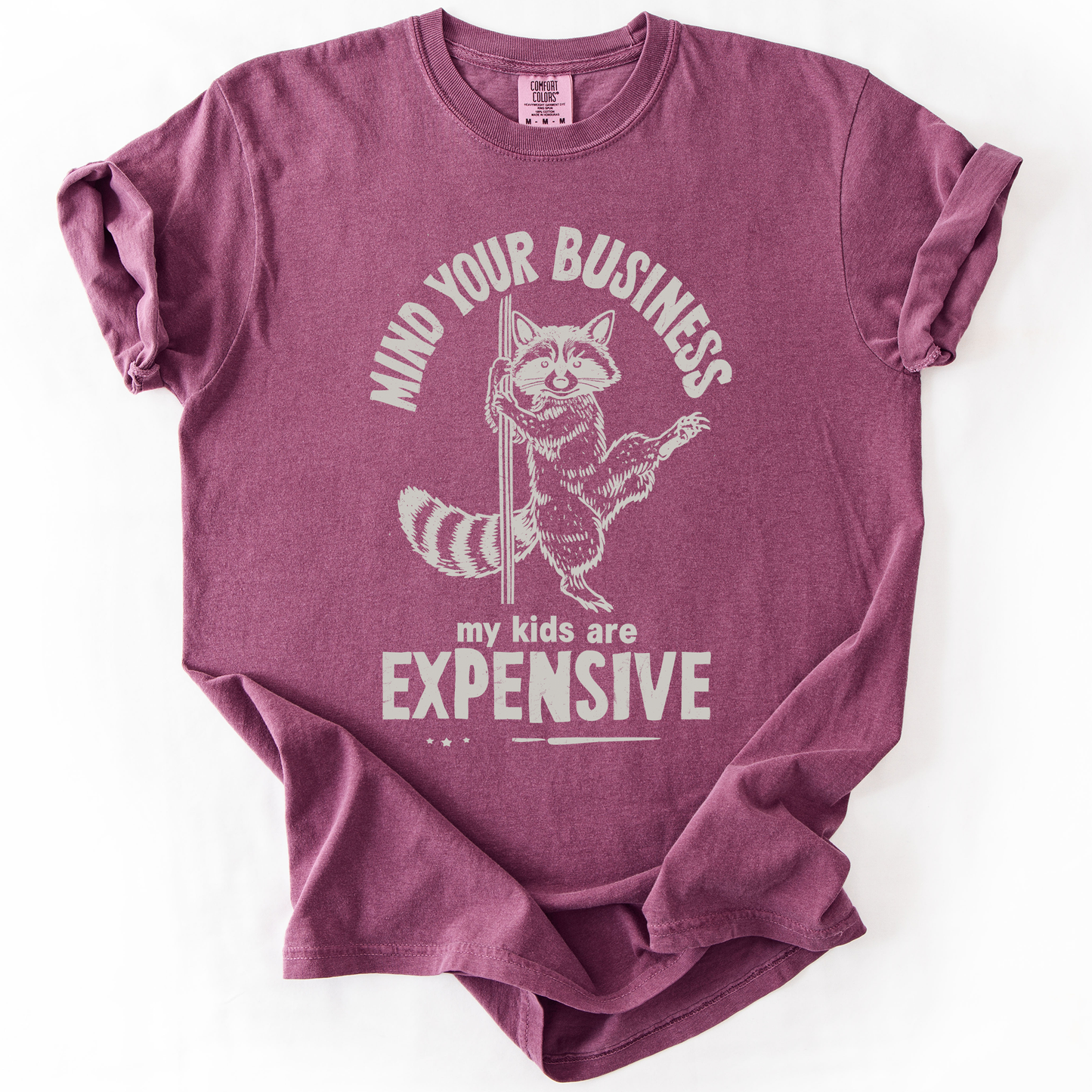Mind Your Business, My Kids Are Expensive, Funny, Work, Comfort Colors T-Shirt