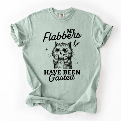 My Flabbers Have Been Gasted, Flabbergasted Cat, Funny, Sassy, Sarcastic Tshirt Comfort Colors T-Shirt
