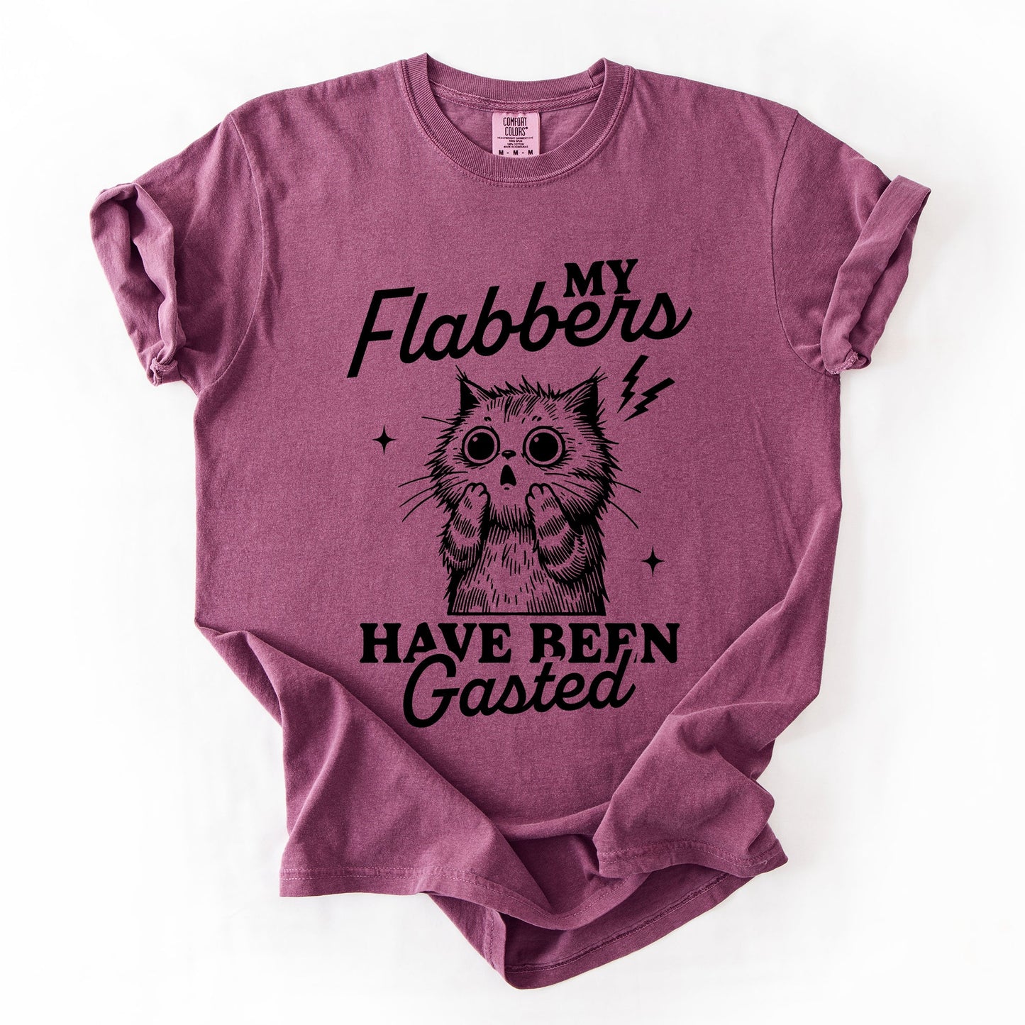My Flabbers Have Been Gasted, Flabbergasted Cat, Funny, Sassy, Sarcastic Tshirt Comfort Colors T-Shirt