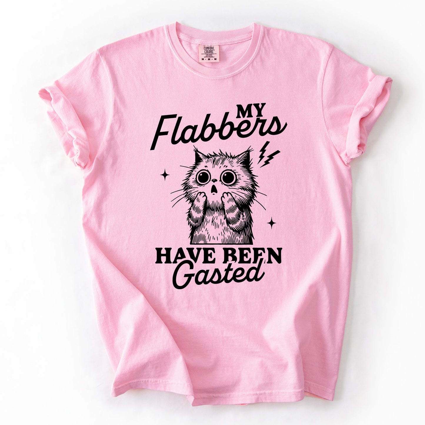 My Flabbers Have Been Gasted, Flabbergasted Cat, Funny, Sassy, Sarcastic Tshirt Comfort Colors T-Shirt