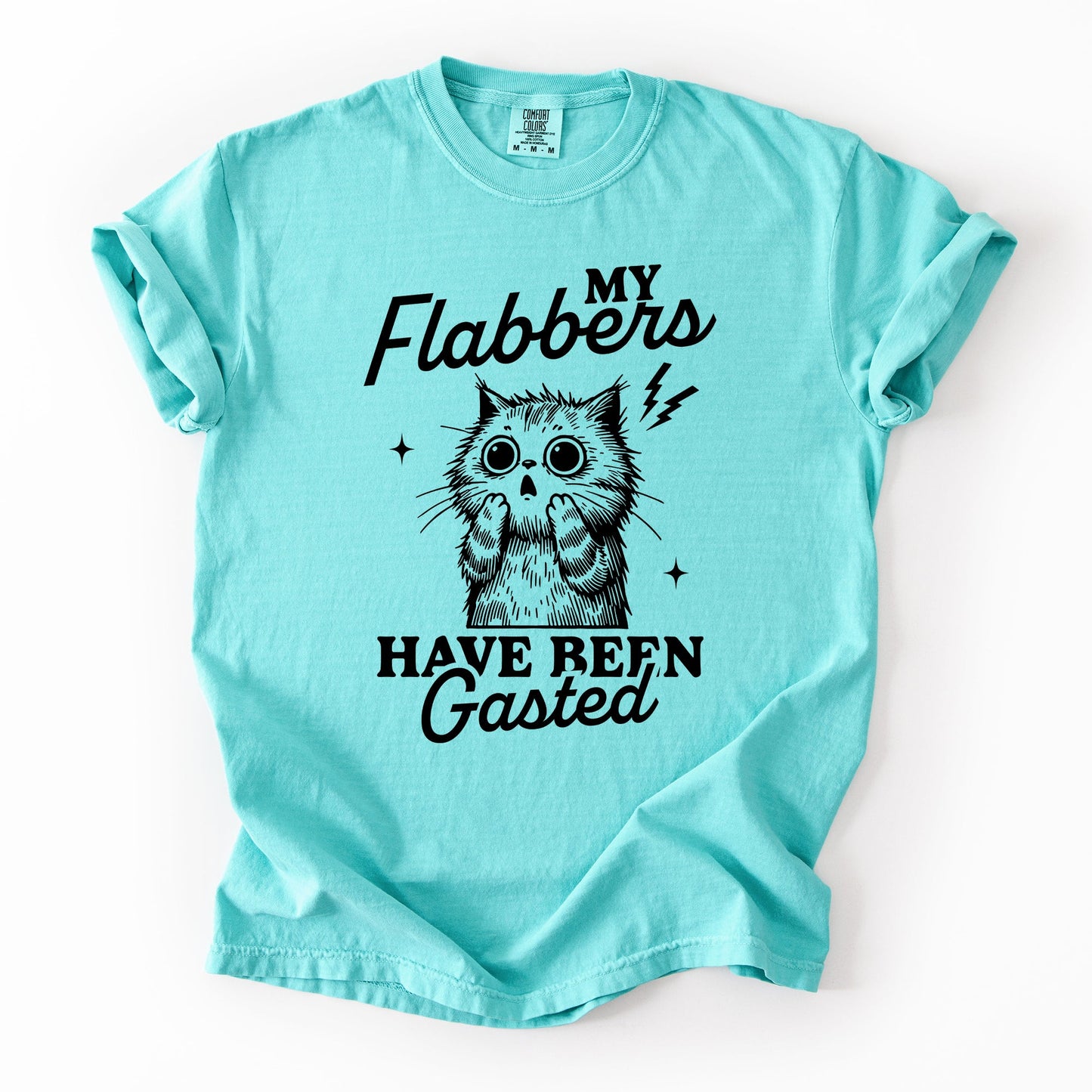 My Flabbers Have Been Gasted, Flabbergasted Cat, Funny, Sassy, Sarcastic Tshirt Comfort Colors T-Shirt