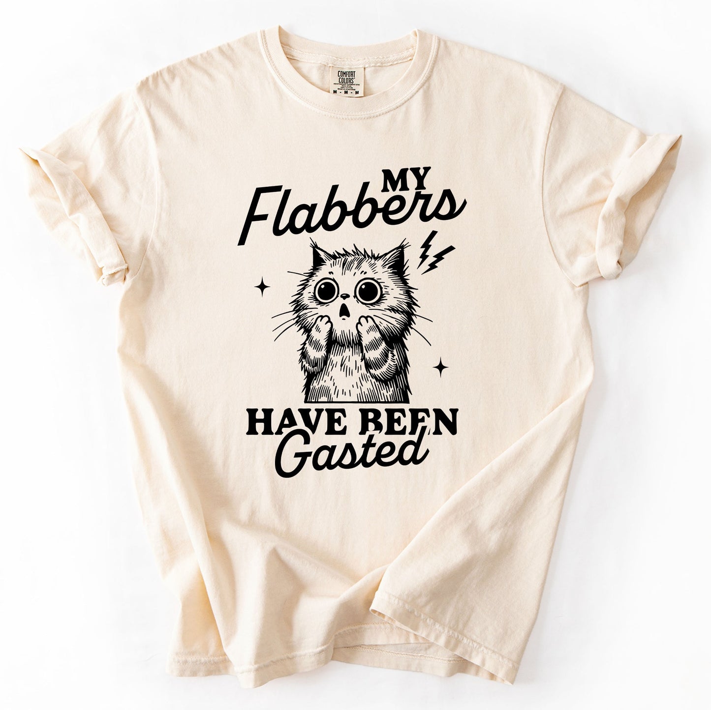 My Flabbers Have Been Gasted, Flabbergasted Cat, Funny, Sassy, Sarcastic Tshirt Comfort Colors T-Shirt