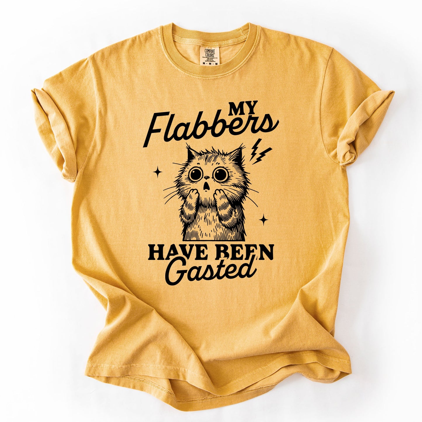 My Flabbers Have Been Gasted, Flabbergasted Cat, Funny, Sassy, Sarcastic Tshirt Comfort Colors T-Shirt