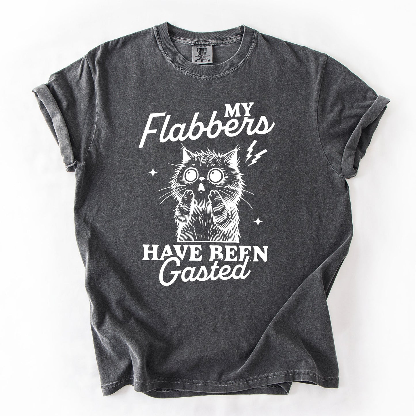 My Flabbers Have Been Gasted, Flabbergasted Cat, Funny, Sassy, Sarcastic Tshirt Comfort Colors T-Shirt