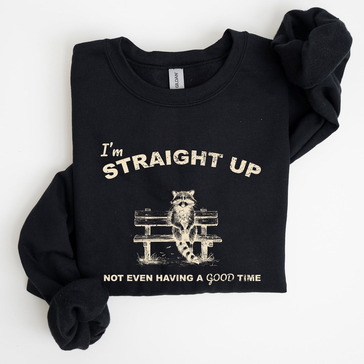 Not Having A Good Time, Raccoon, Meme, Aesthetic, Funny Sweatshirt