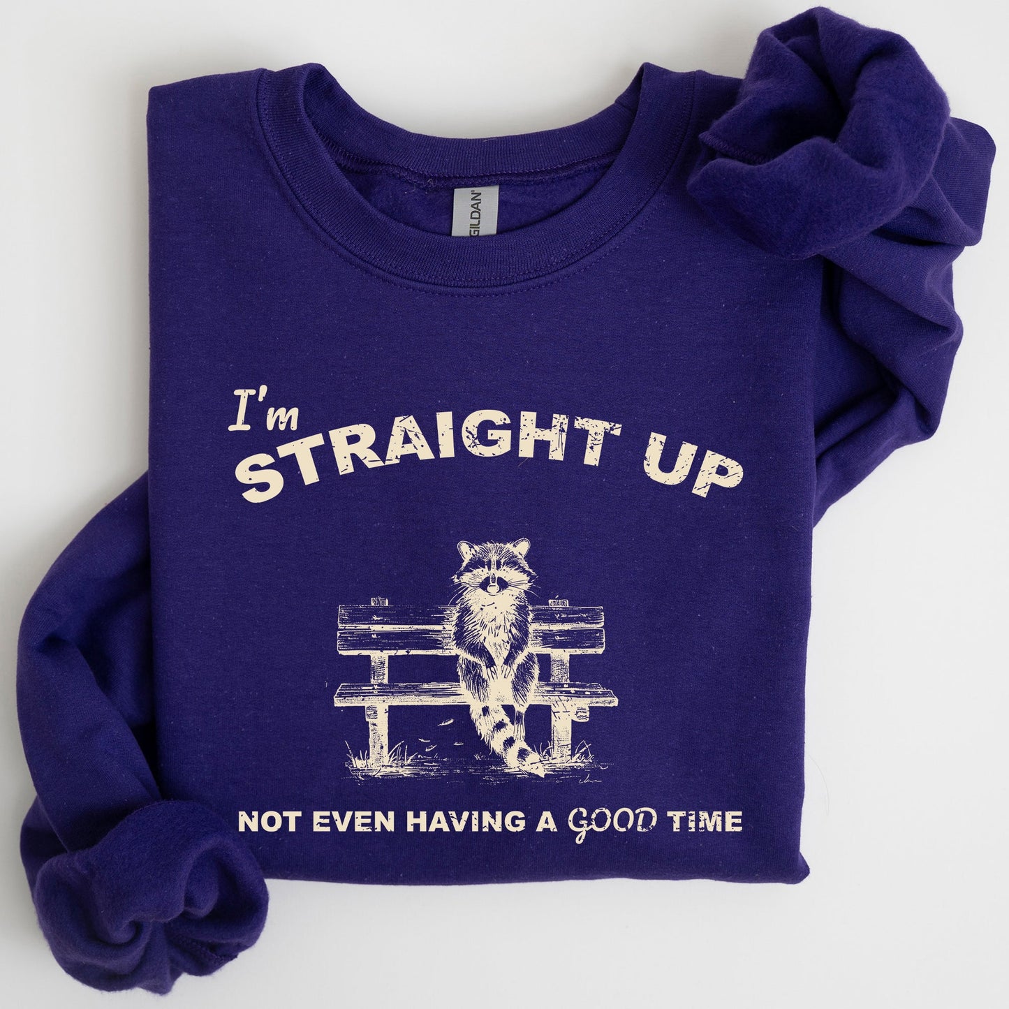 Not Having A Good Time, Raccoon, Meme, Aesthetic, Funny Sweatshirt