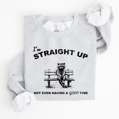 Not Having A Good Time, Raccoon, Meme, Aesthetic, Funny Sweatshirt