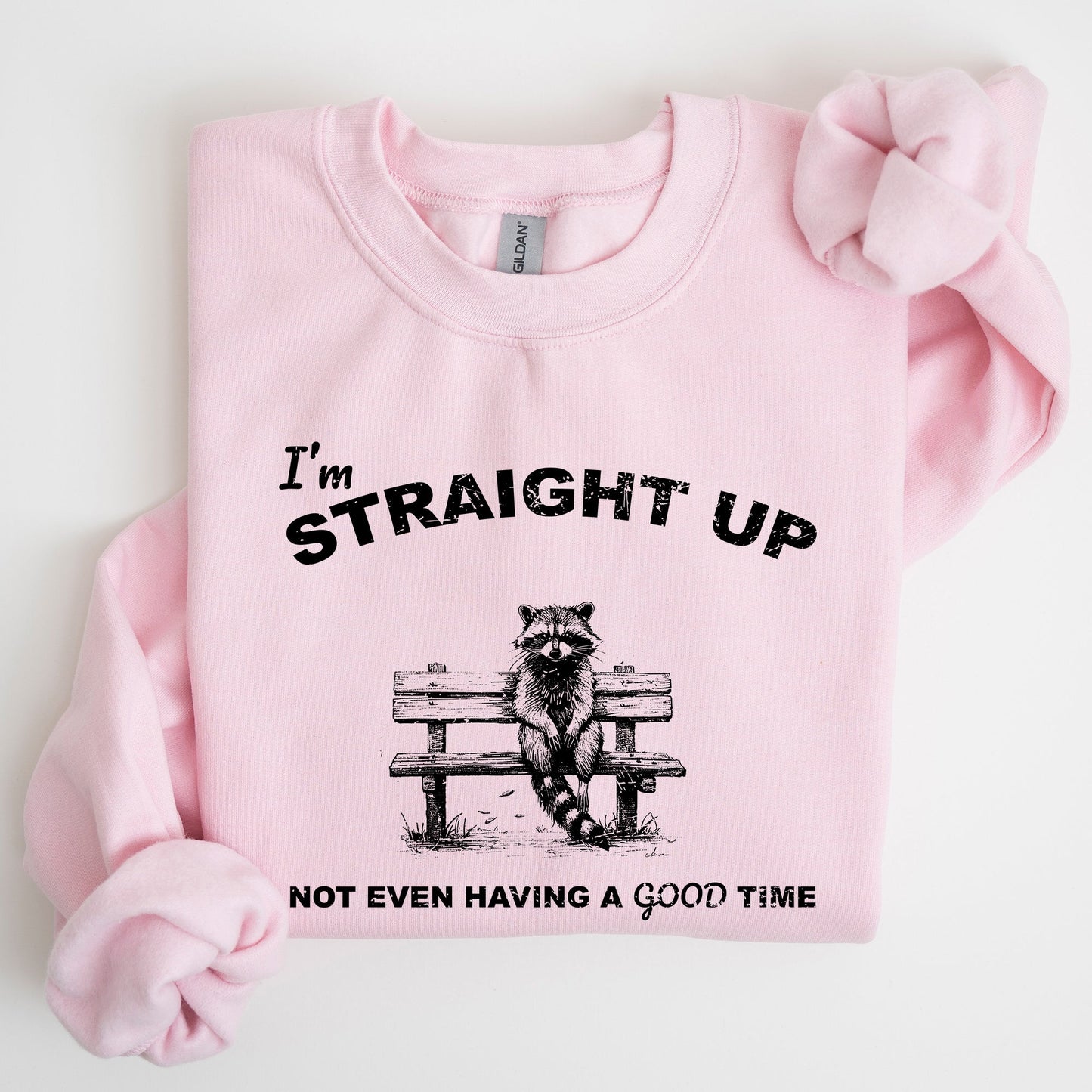 Not Having A Good Time, Raccoon, Meme, Aesthetic, Funny Sweatshirt