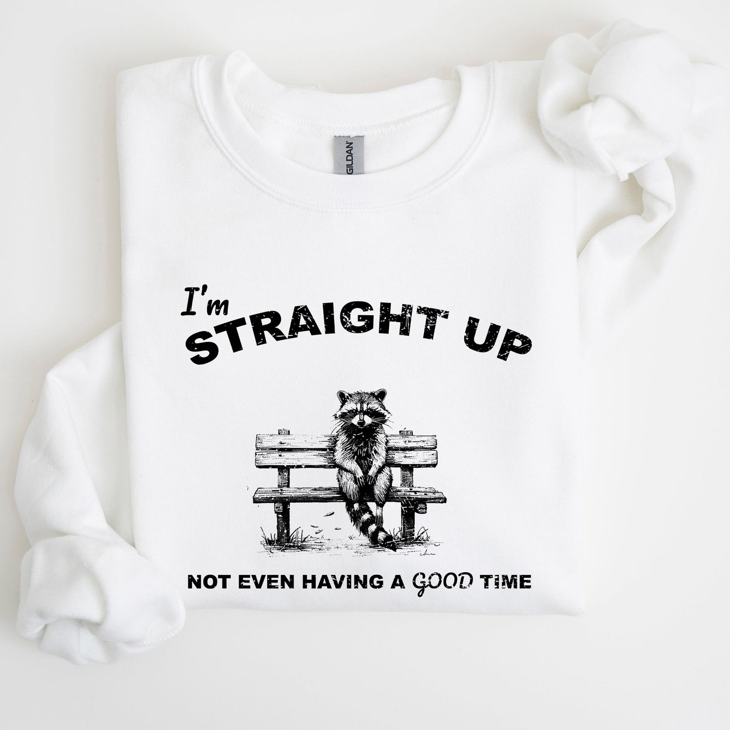 Not Having A Good Time, Raccoon, Meme, Aesthetic, Funny Sweatshirt