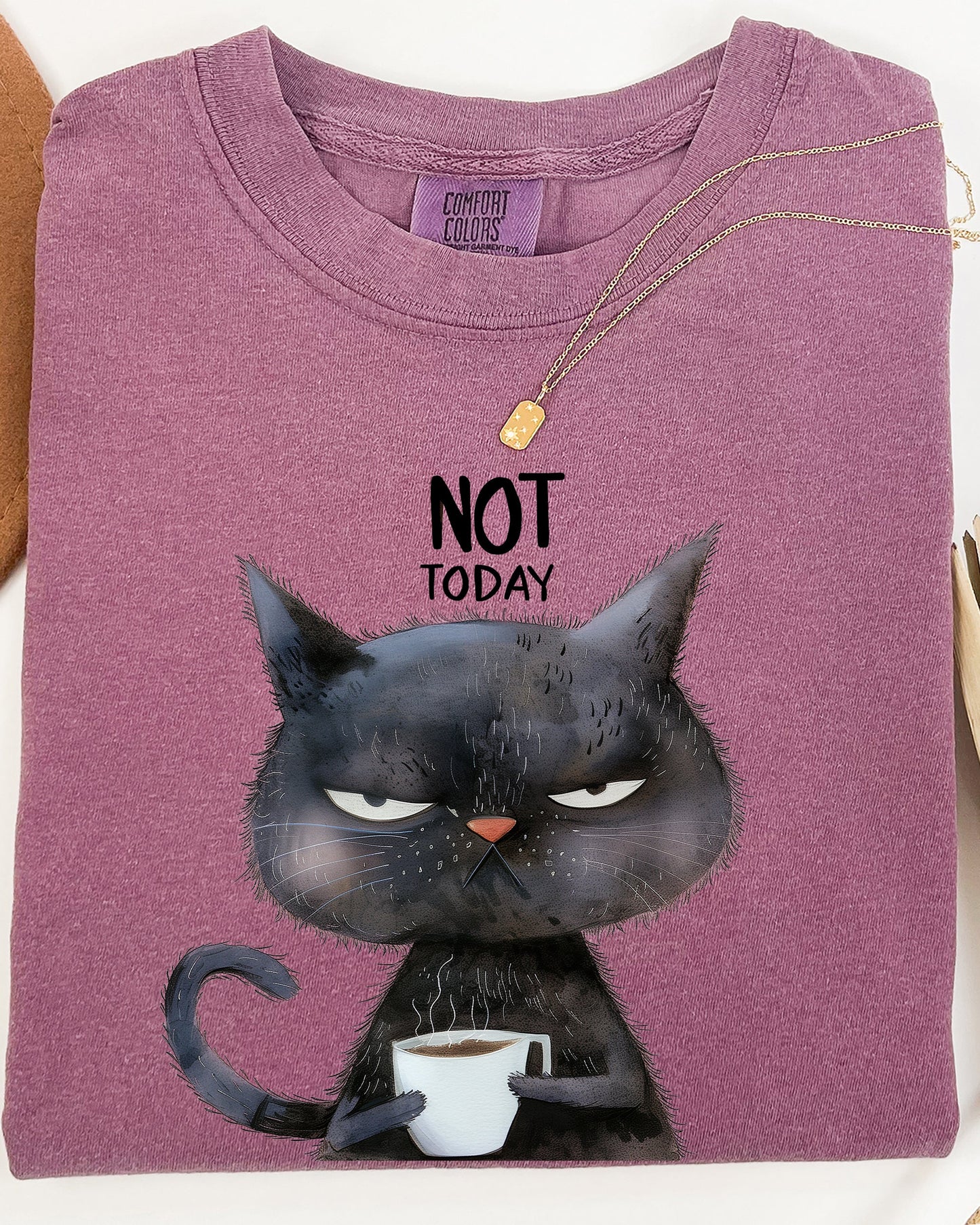 Not Today, Cat, Grumpy, Coffee, Funny, Meme Shirt Comfort Colors T-Shirt