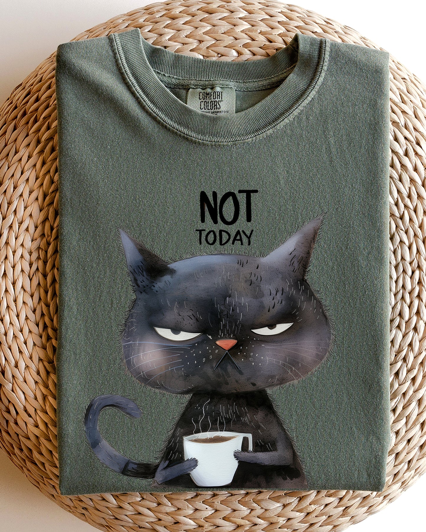 Not Today, Cat, Grumpy, Coffee, Funny, Meme Shirt Comfort Colors T-Shirt