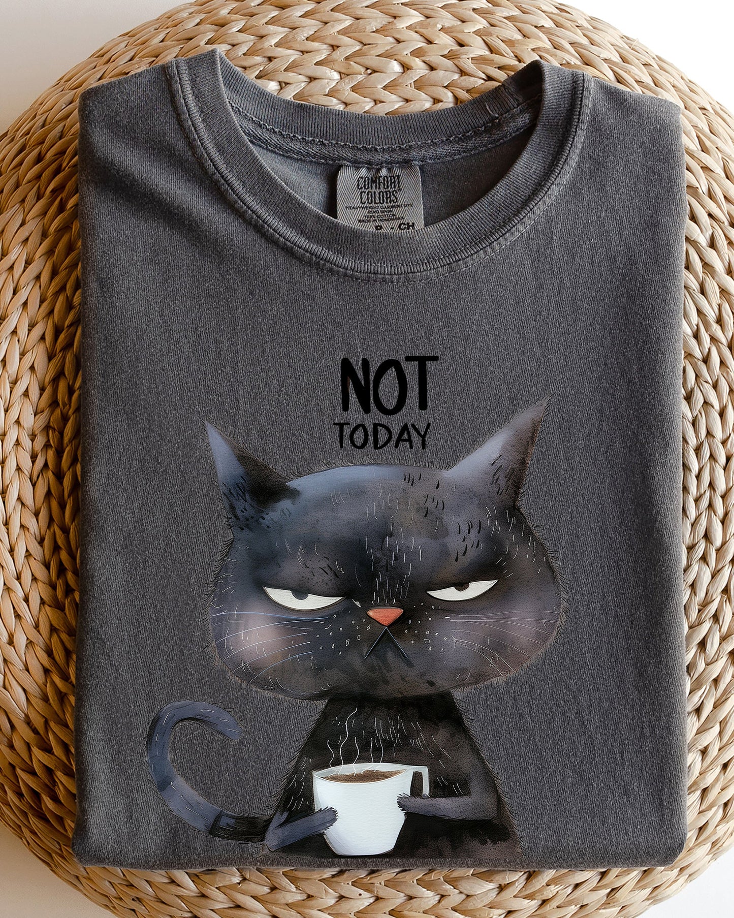 Not Today, Cat, Grumpy, Coffee, Funny, Meme Shirt Comfort Colors T-Shirt