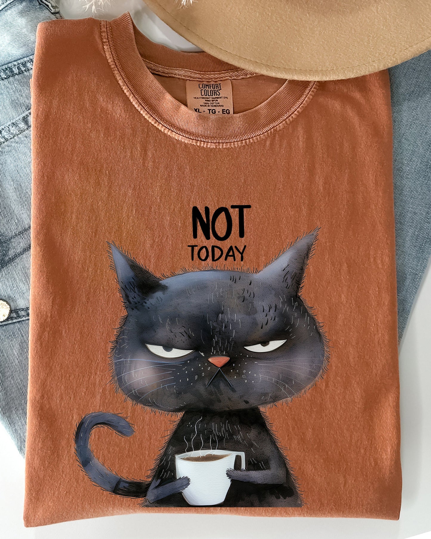 Not Today, Cat, Grumpy, Coffee, Funny, Meme Shirt Comfort Colors T-Shirt