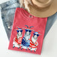 Patriotic Hippie Goats, Funny, Patriotic, 4th of July Tshirt Comfort Colors T-Shirt