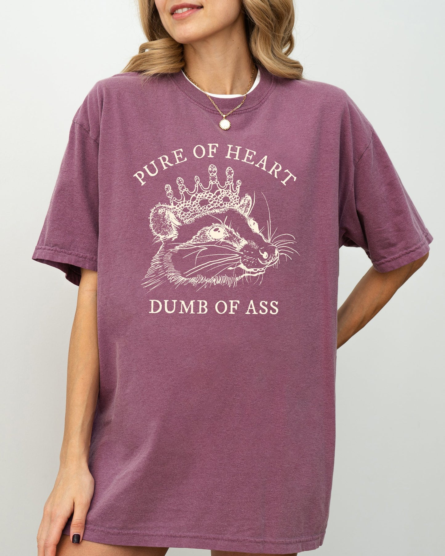 Pure Of Heart, Dumb Of Ass, Funny, Rude, Vulgar, Possum, Opossum, Aesthetic Shirt Comfort Colors T-Shirt
