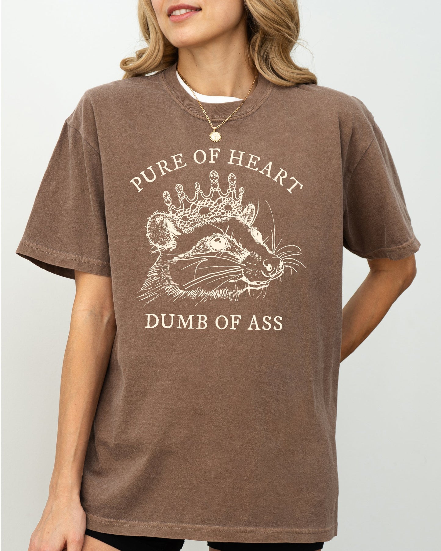 Pure Of Heart, Dumb Of Ass, Funny, Rude, Vulgar, Possum, Opossum, Aesthetic Shirt Comfort Colors T-Shirt