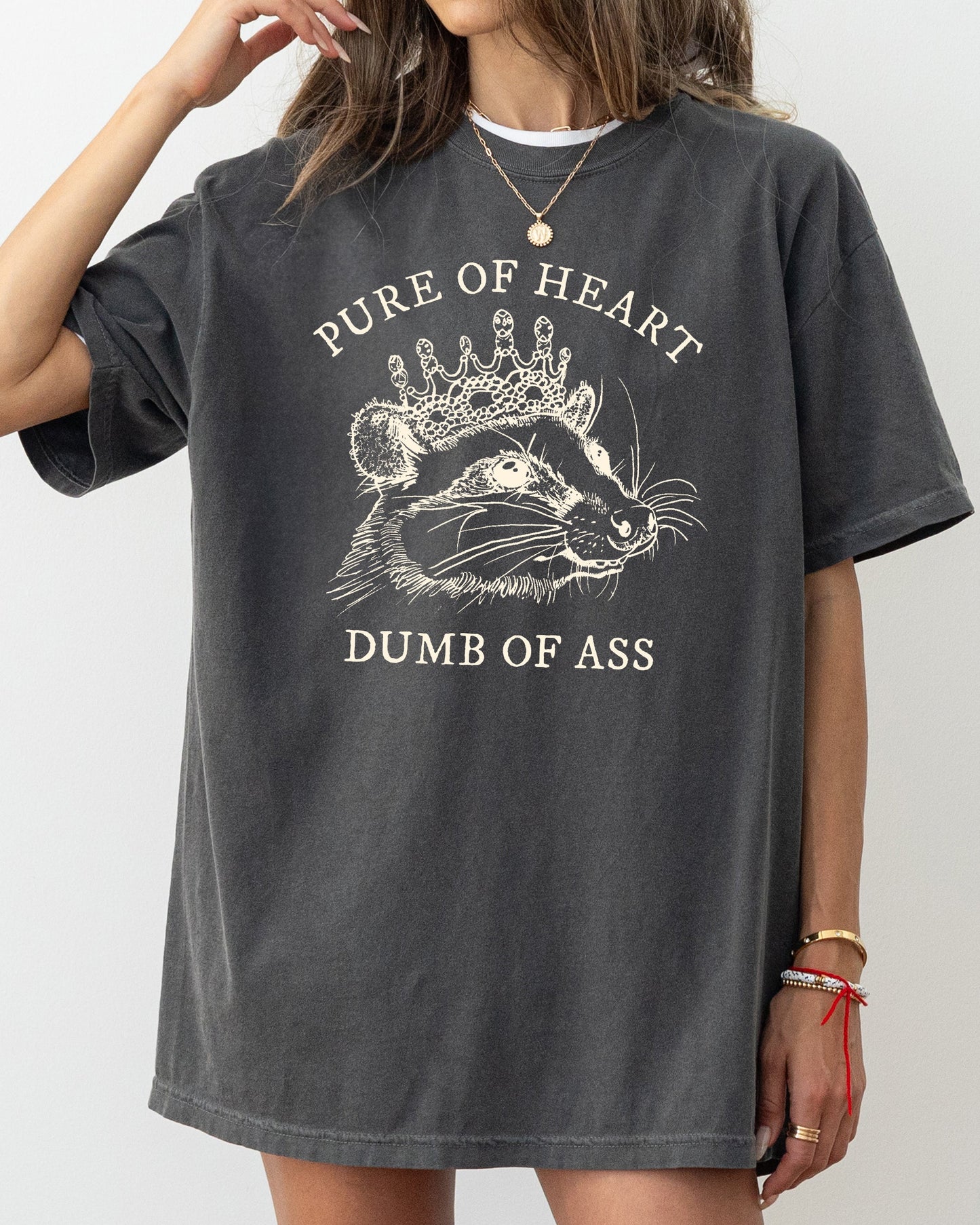 Pure Of Heart, Dumb Of Ass, Funny, Rude, Vulgar, Possum, Opossum, Aesthetic Shirt Comfort Colors T-Shirt