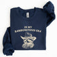 Rambunctious Era, Raccoon, Meme, Aesthetic, Funny Sweatshirt