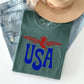 Retro USA, Eagle, America, Patriotic, 4th of July Tshirt Comfort Colors T-Shirt