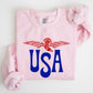 Retro USA, Eagle, America, Patriotic, 4th of July Sweatshirt