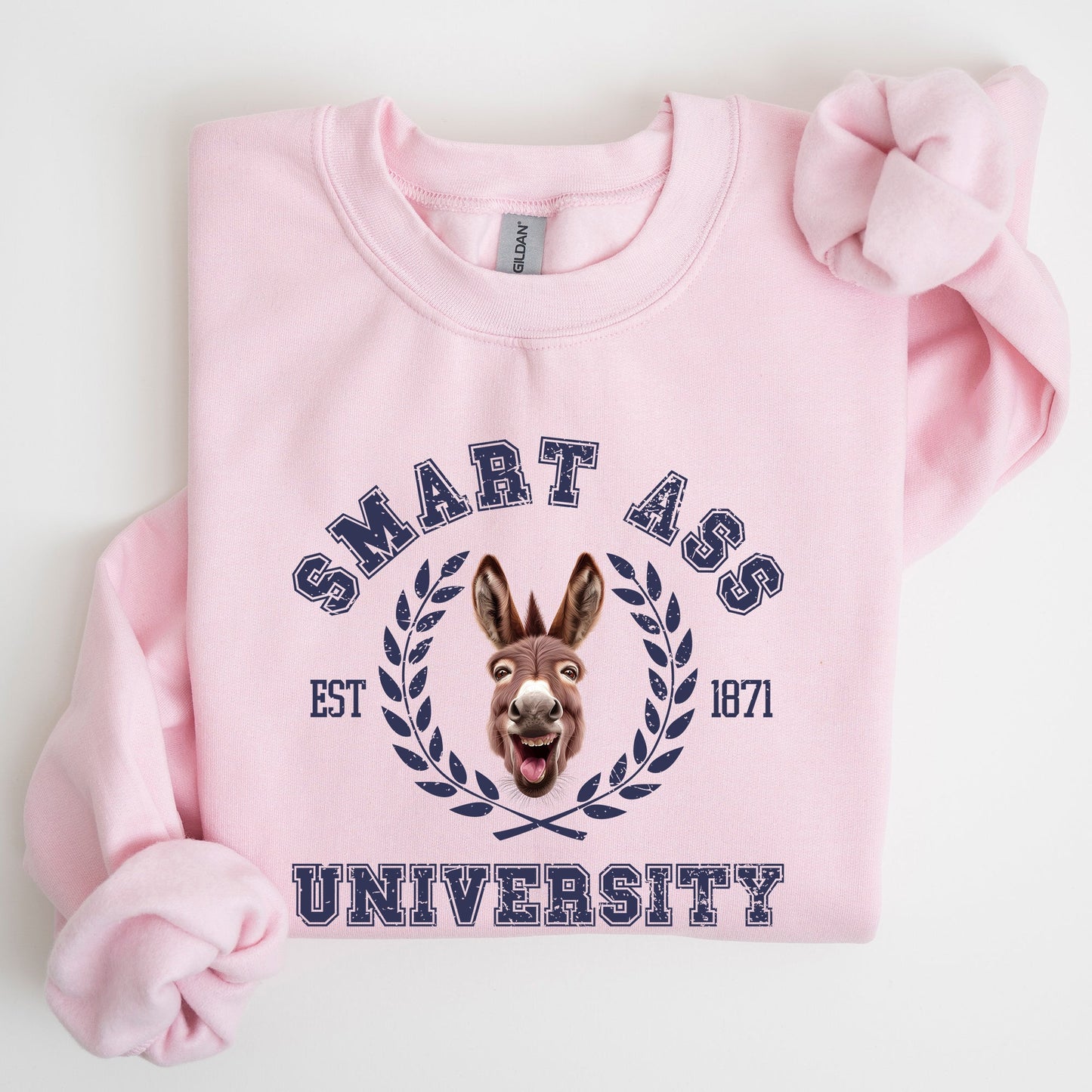 Smart Ass University Sweatshirt, Donkey, Sarcastic, College, Funny Meme