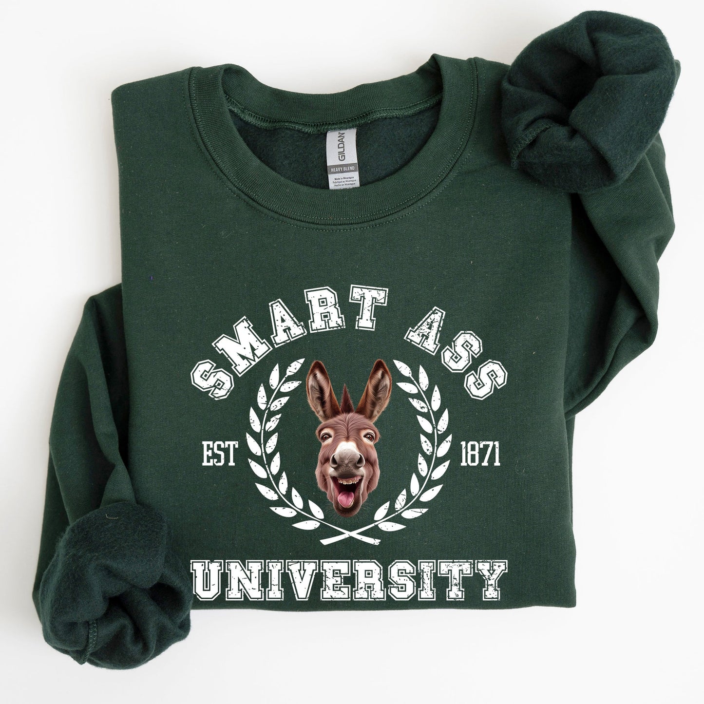 Smart Ass University Sweatshirt, Donkey, Sarcastic, College, Funny Meme