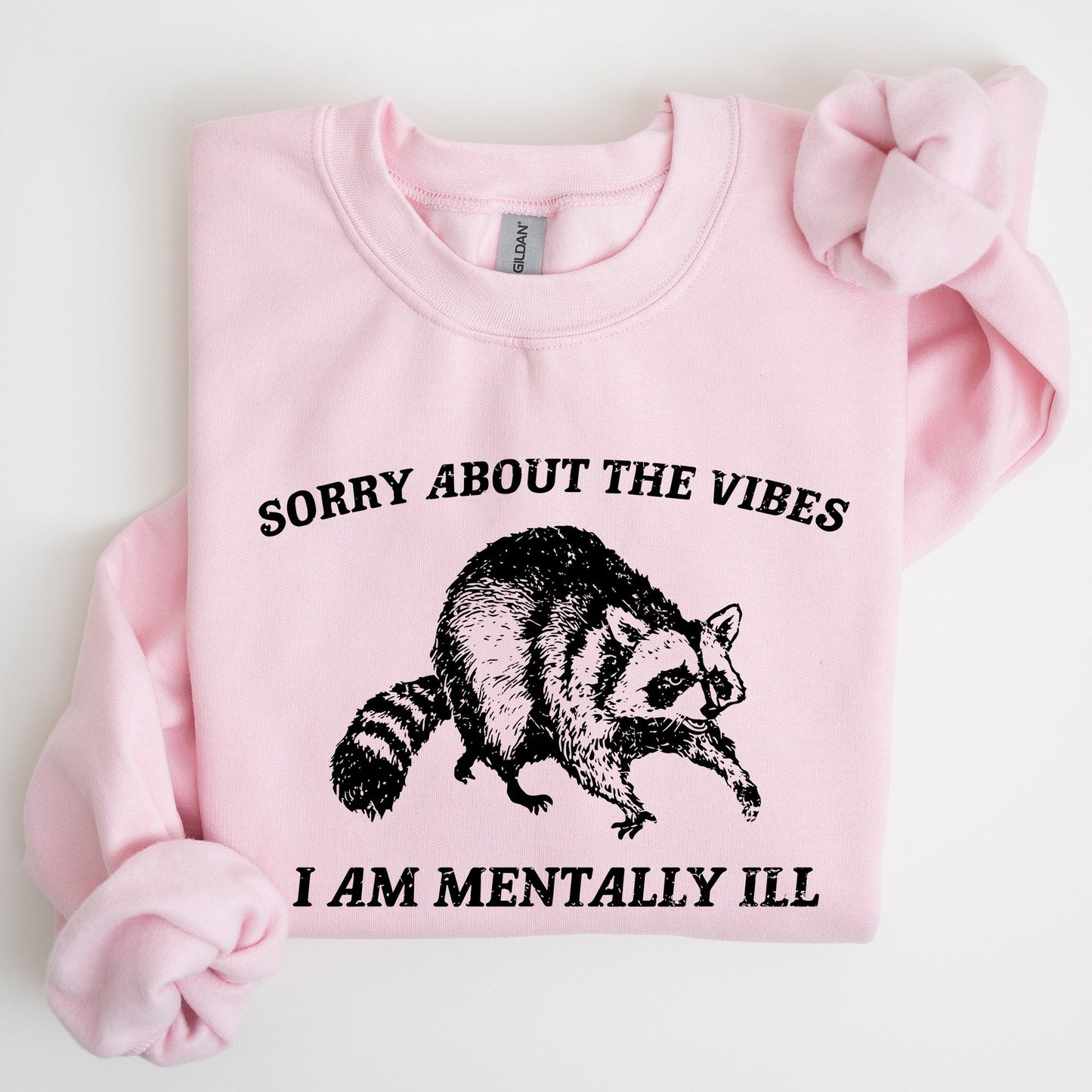 Sorry About The Vibes, Mentally Ill, Raccoon, Meme, Aesthetic, Funny Sweatshirt